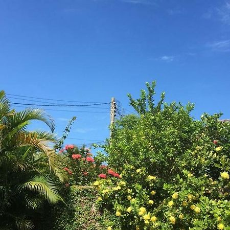 Ampla Casa De Praia أرايال دو كابو المظهر الخارجي الصورة